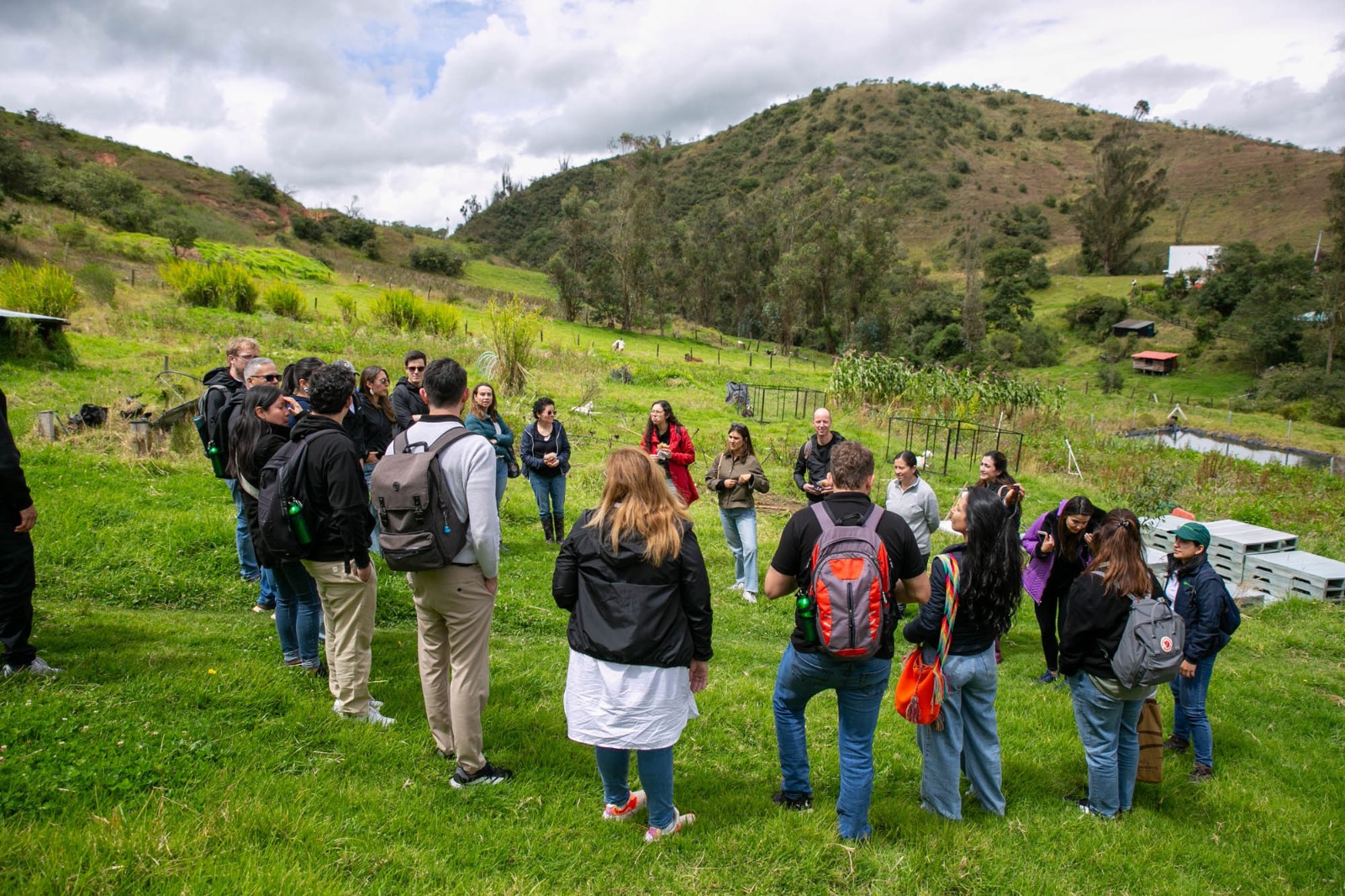 Alianzas estratégicas