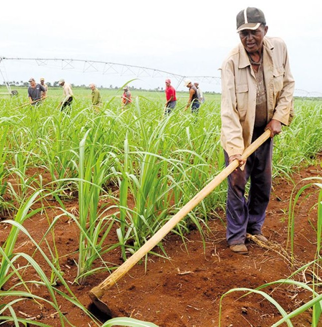 Inversión con impacto