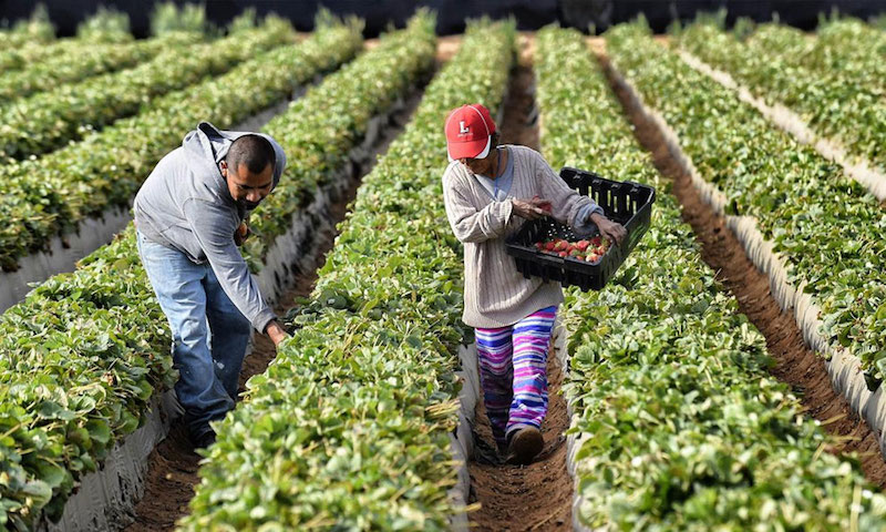 Equipo en América Latina